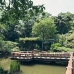 東郷神社 thumbnail - 1