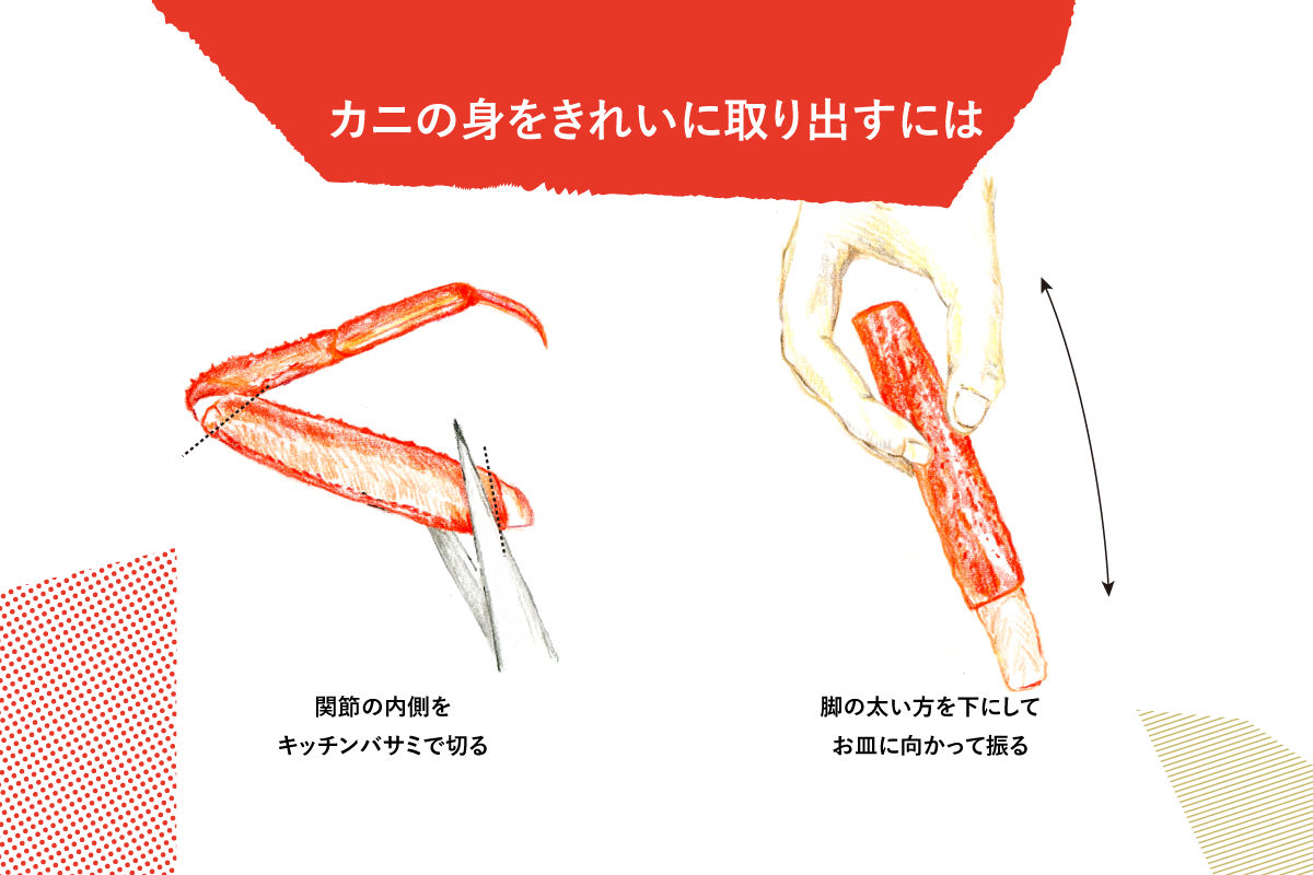 VISCUM「知る」鳥取のカニ - 3