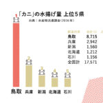 ＶＩＳＣＵＭ「知る」鳥取のカニ thumbnail - 1