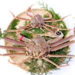 高級ブランドガニ「五輝星」 thumbnail - 1