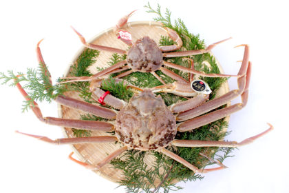 高級ブランドガニ「五輝星」
