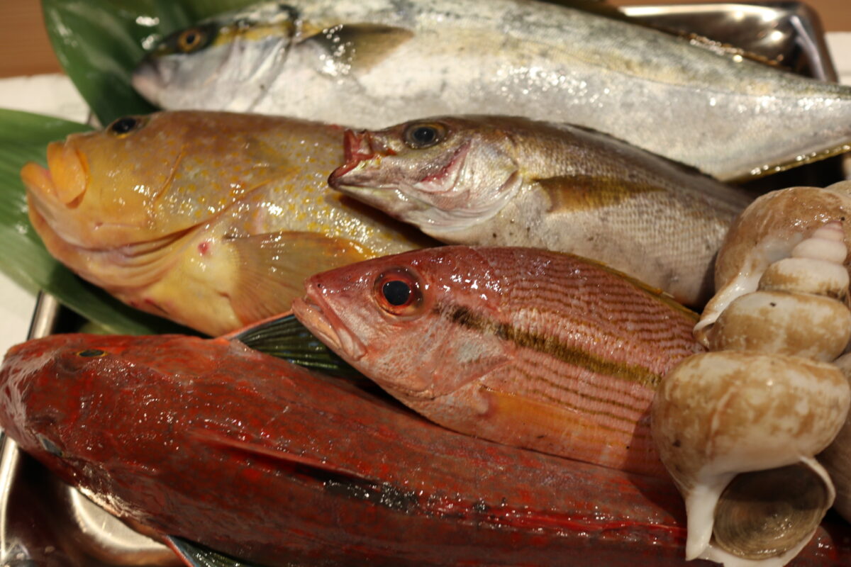 日本料理 神楽坂 仁 - 4