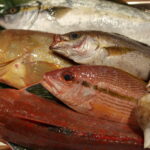 日本料理　神楽坂　仁 thumbnail - 4